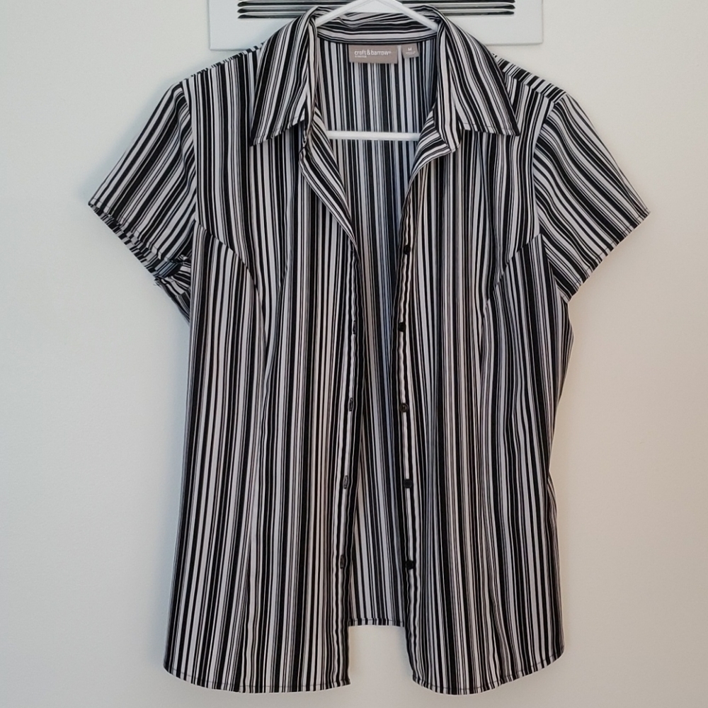 Croft & Barrow Button Up Blouse